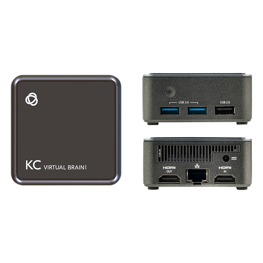 KC-Virtual Brain1