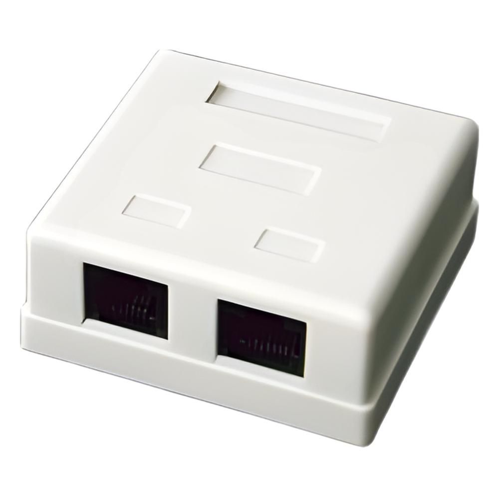 Caja de pared con 2 puertos
