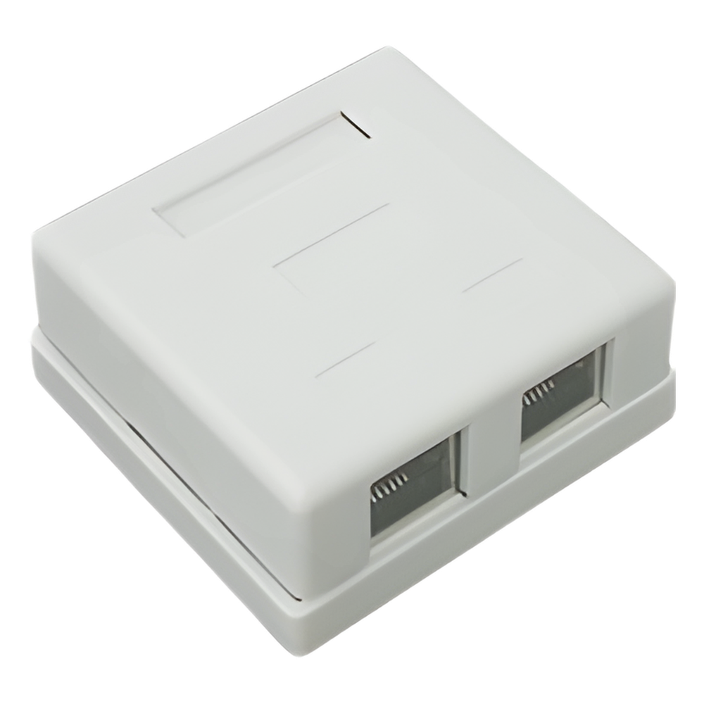 Caja de pared con 2 puertos