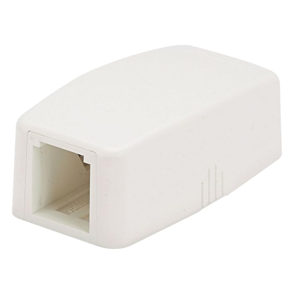 Caja de montaje en Superficie blanco