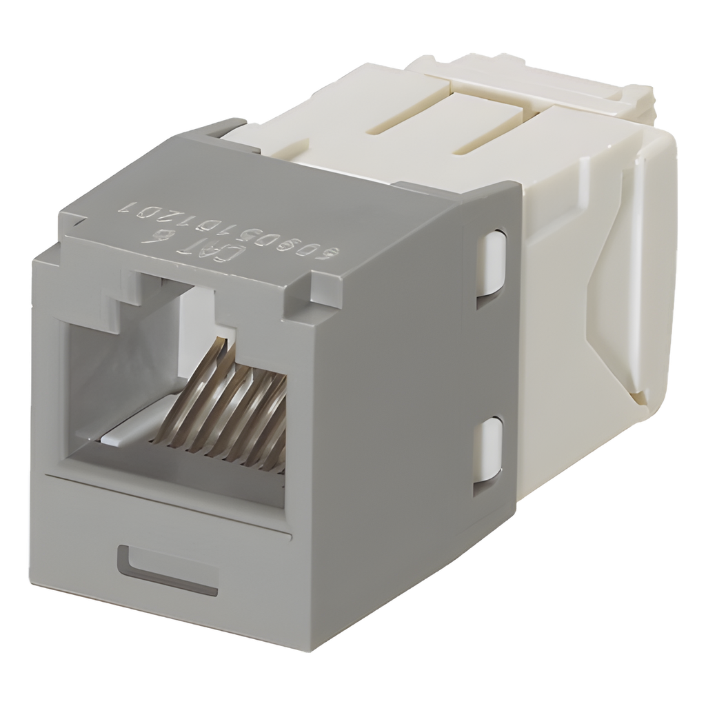 Jack RJ45 Cat6, gris