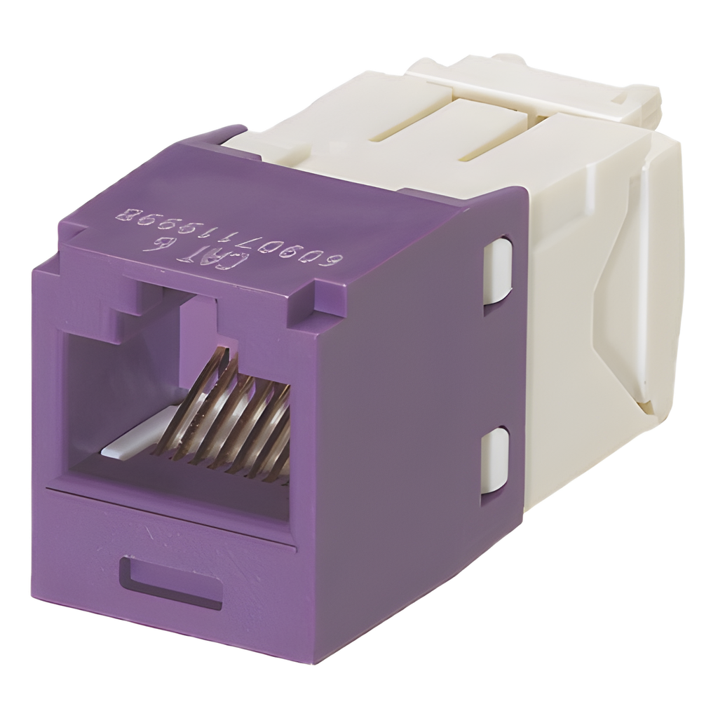 Jack RJ45 Cat6, violeta