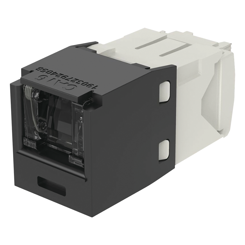 Jack RJ45 Cat6, negro