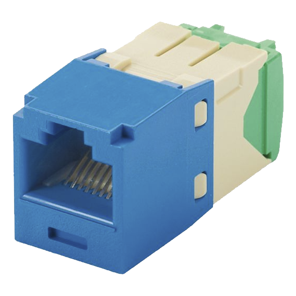 Jack RJ45 Cat6, azul