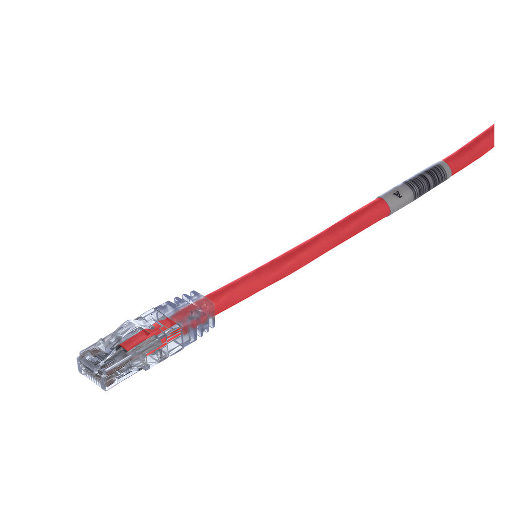 Patch cord Cat6 UTP, 1 ft, rojo, 24 AWG, LSZH