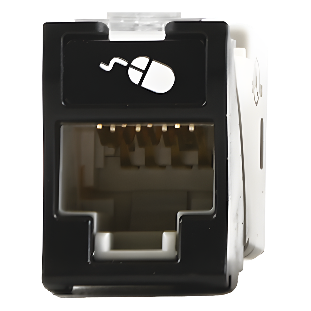 Jack RJ45 Cat6, negro