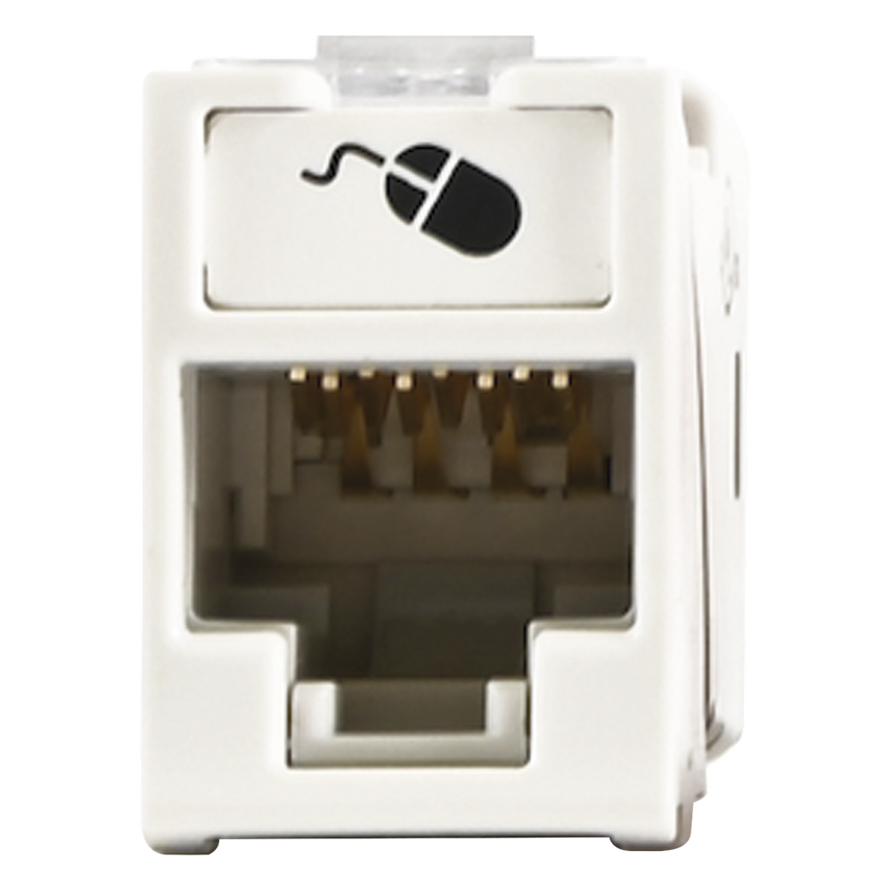 Jack RJ45 Cat6, blanco