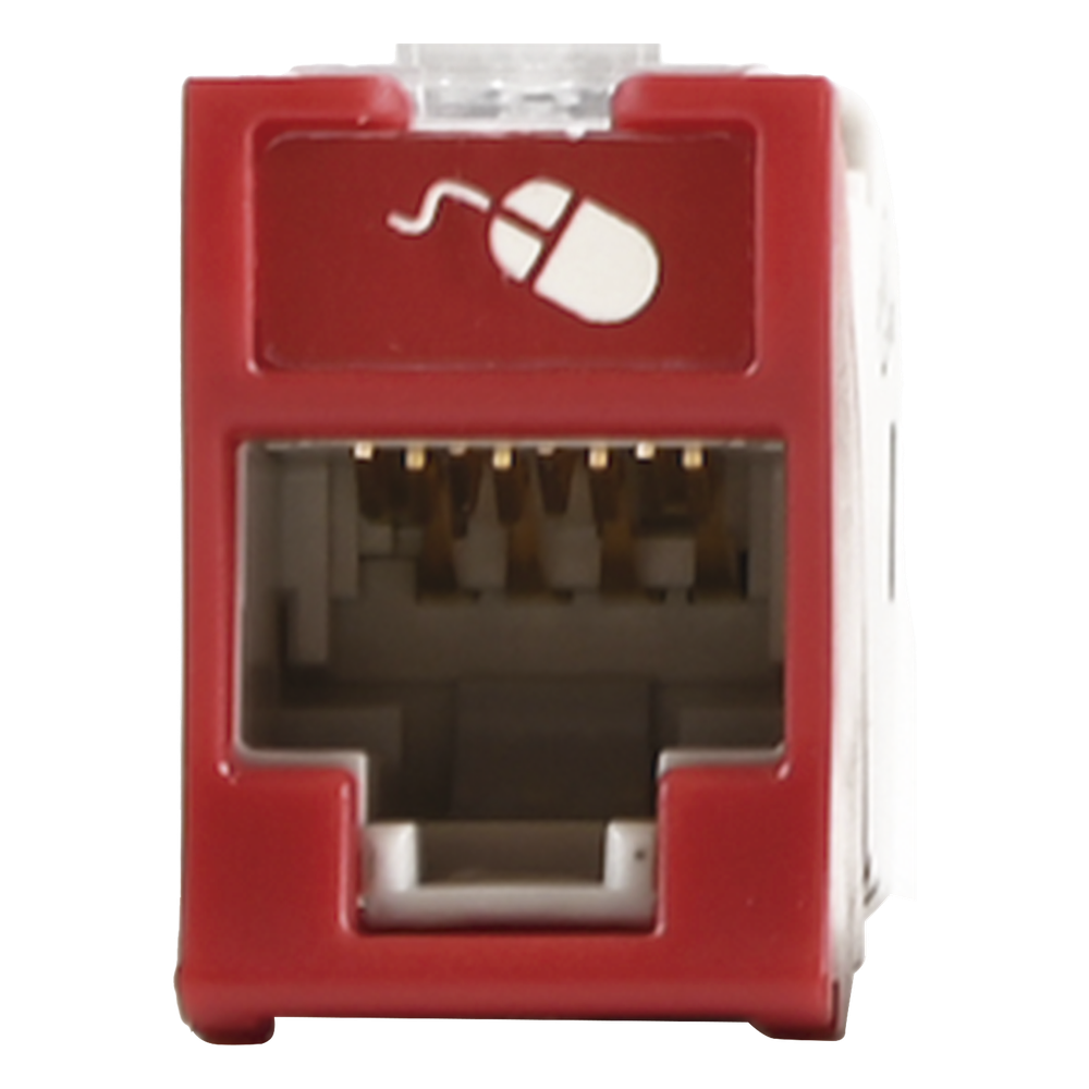 Jack RJ45 Cat6, rojo