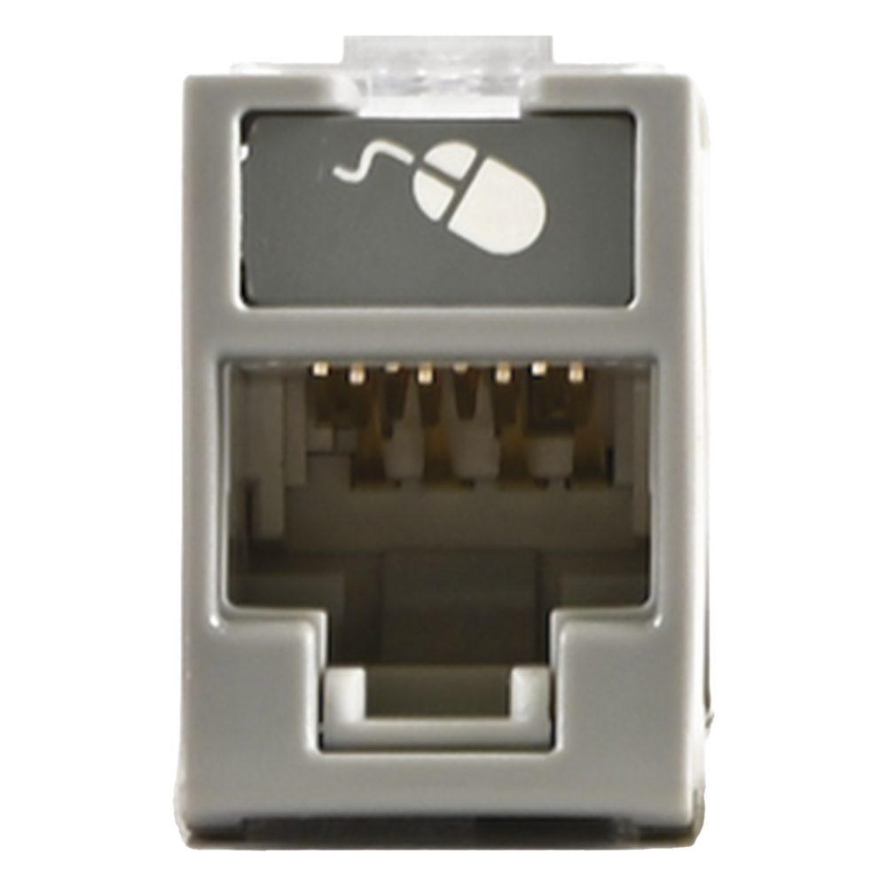 Jack RJ45 Cat6, gris
