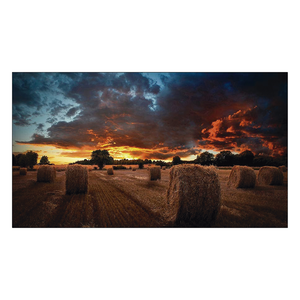 Pantalla 46", 1080p