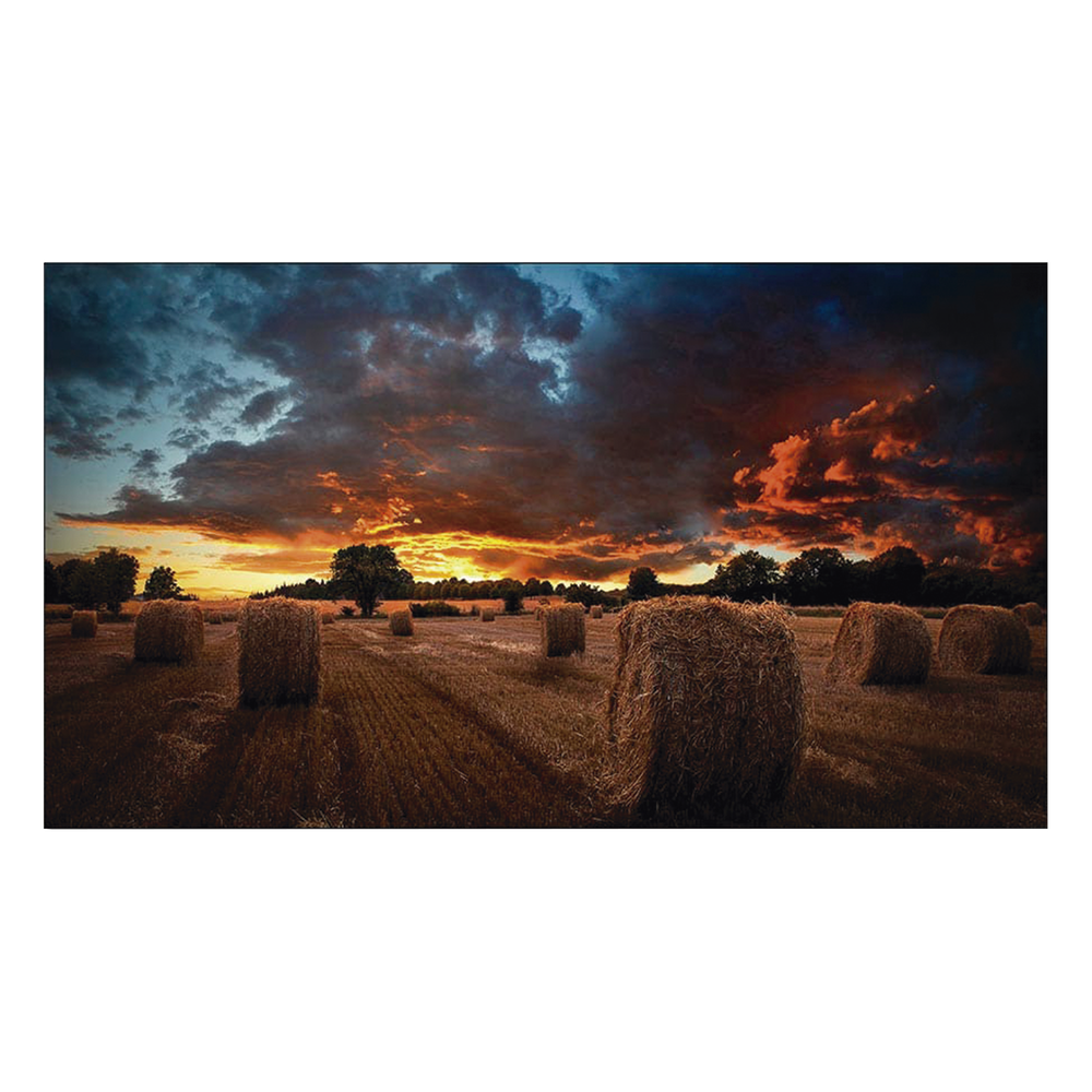 Pantalla 55", 1080p