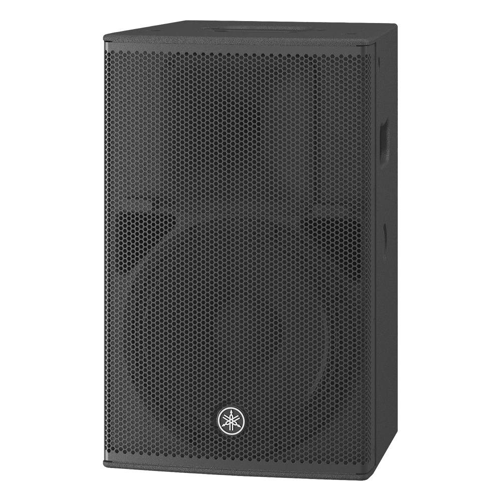 Altavoz 1000 W, 12"