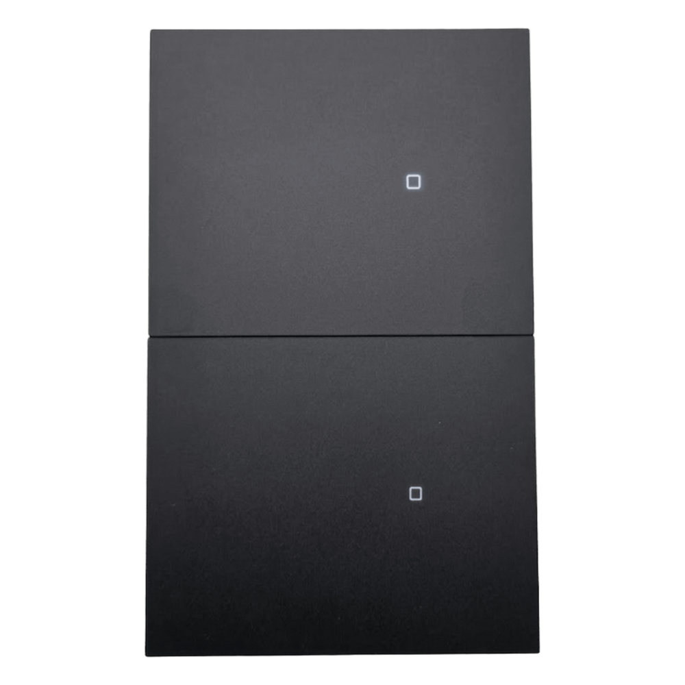Interruptor inalámbrico, Zigbee, 2 GANG, 110-220 V