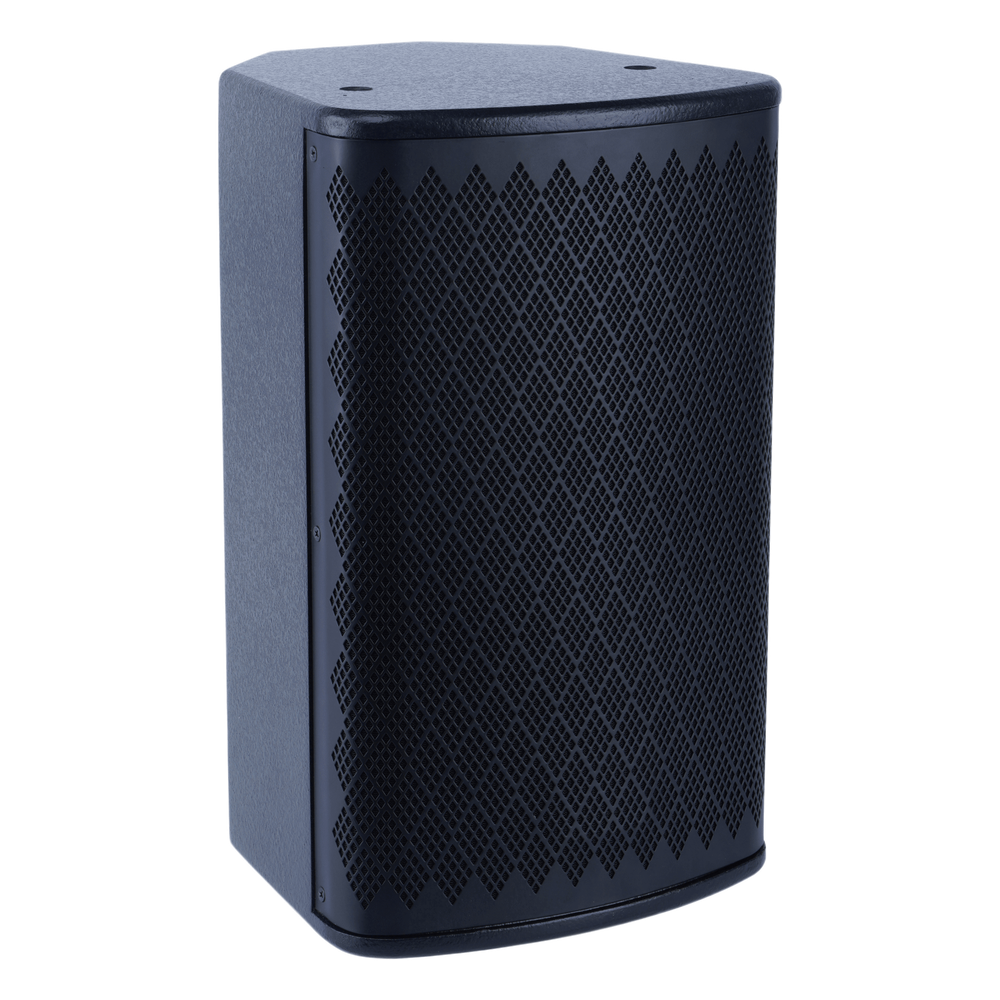 Altavoz 100 W, 6.5"