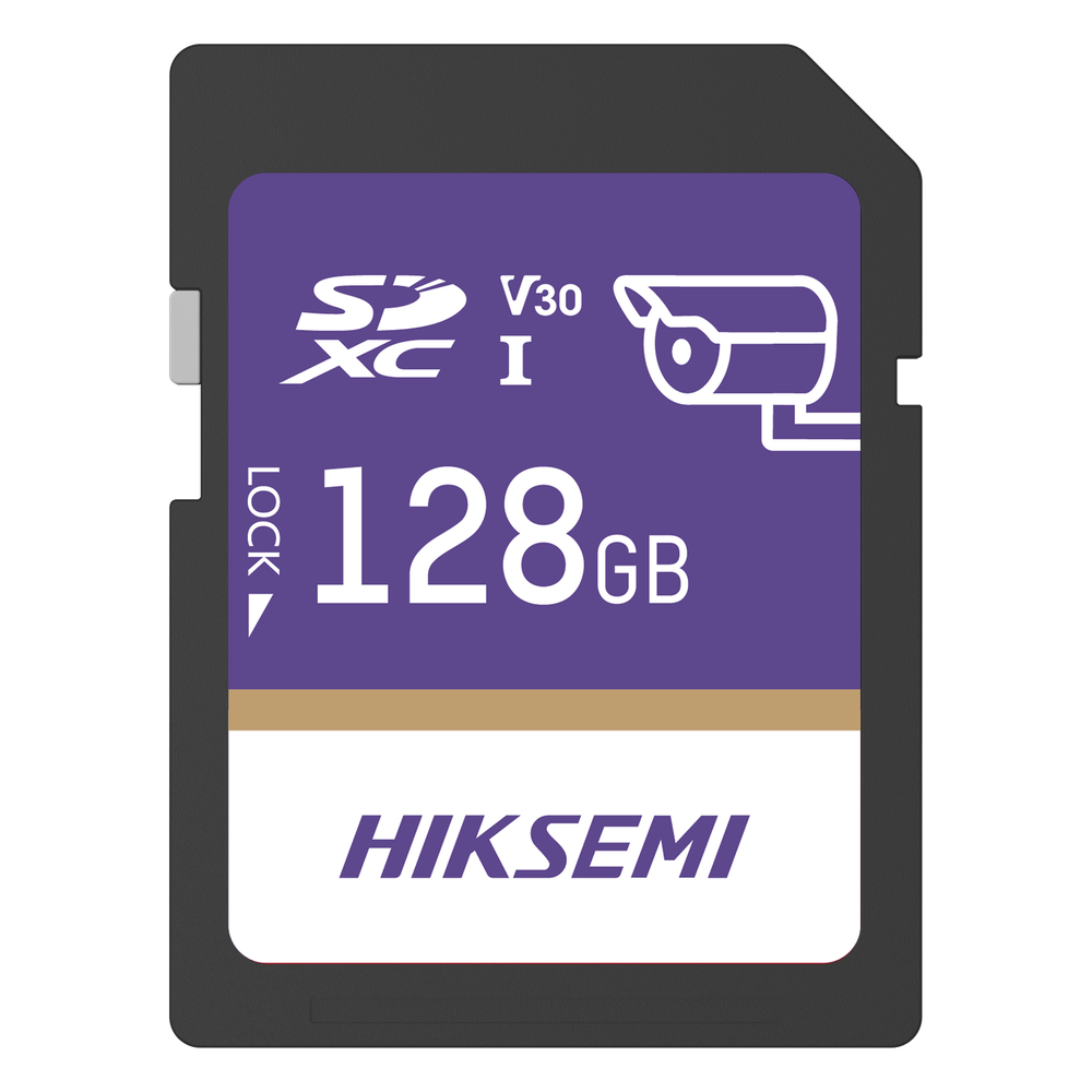Tarjeta SD GuardPro P10
